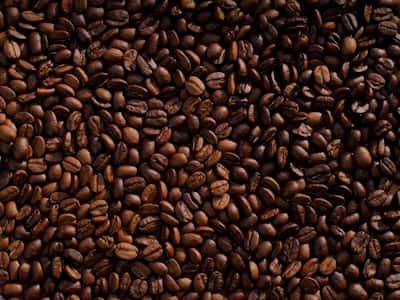 Mekiya Coffee